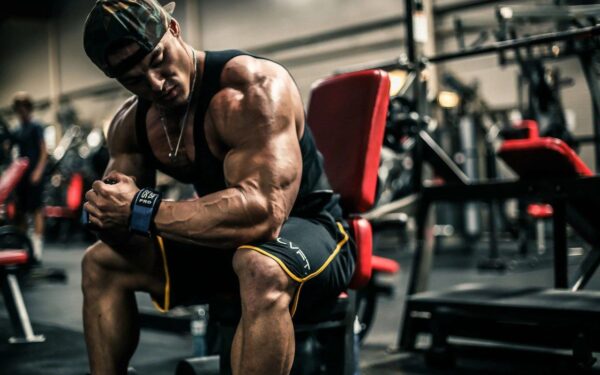 مجموعه عظیم آموزش بدنسازی، فیتنس، ورزش های هوازی