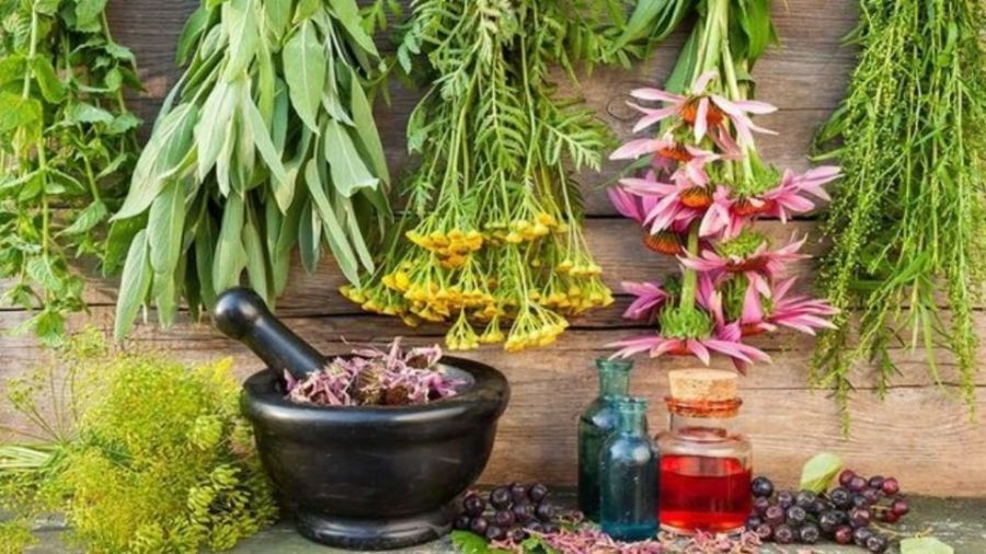 درمان‌های طبیعی و گیاهی برای افسردگی